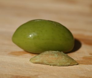 Olives Lucques du Languedoc AOP AOC Gros plan avec noyau en forme de lune photo Originel