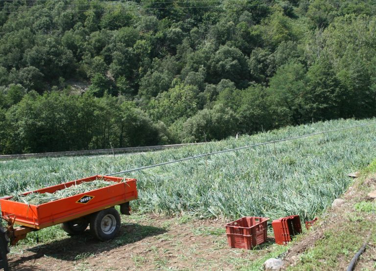 Quelles Sont Les Activités économiques Pratiquées Dans Les Cévennes