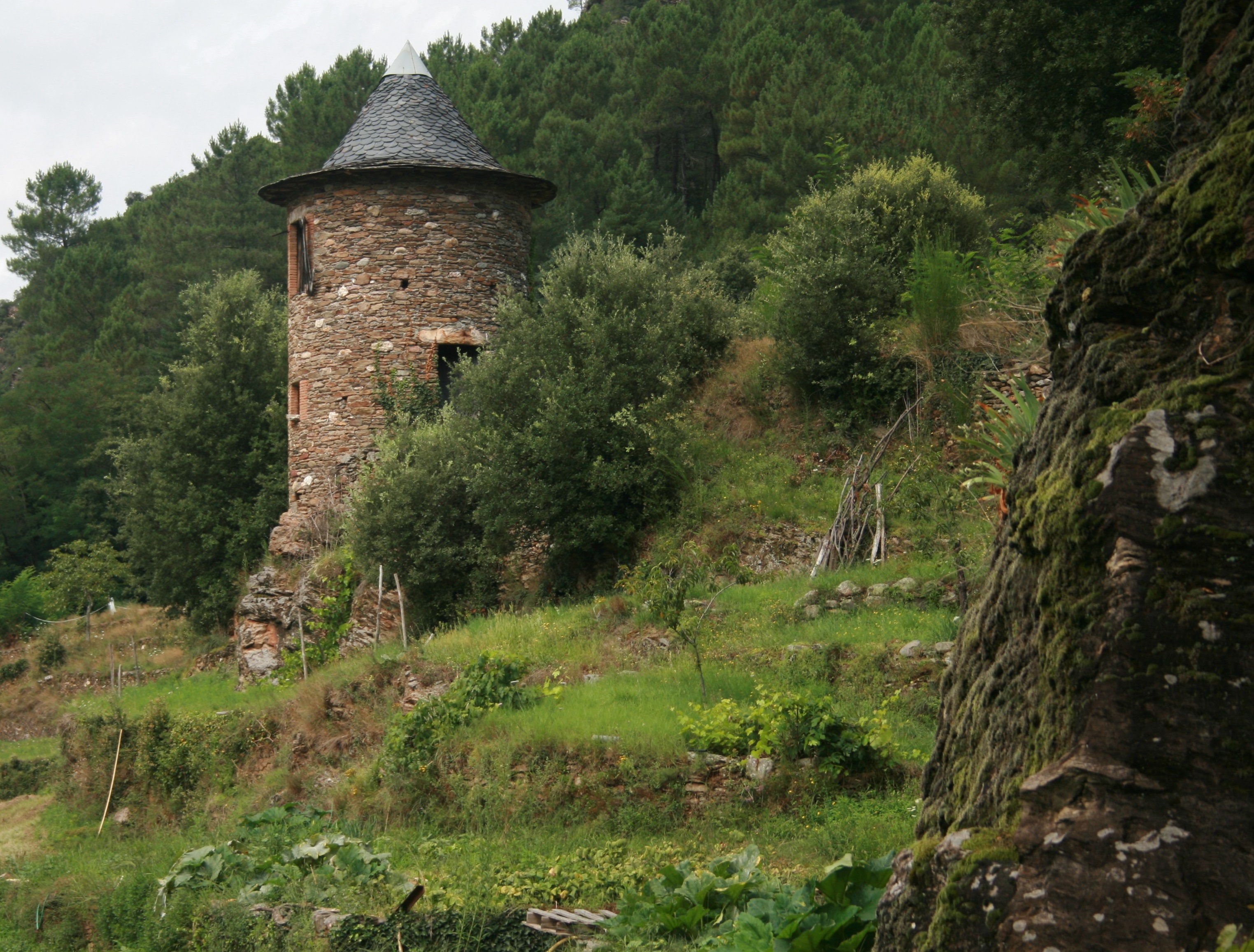 Territoire Cévennes