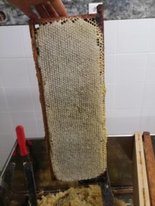 miel de Provence IGP cadre de hausse sorti de ruche avant désoperculation - Sébastien Laville apiculteur à Forcalquier
