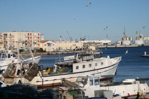 Pêche Port Grondin Sète Languedoc