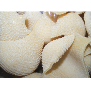 conchiglioni IGP di Gragnano Pasta Buondonno tréfilage au bronze, structure poreuses, parfaites pour absorber les sauces. Grande tenue à la cuisson. 100% Semoule de blé dur.